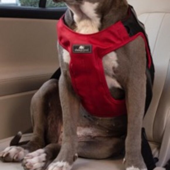 Sleepypod Clickit Terrain Plus black dog harness M crash-tested - Picture 10 of 10